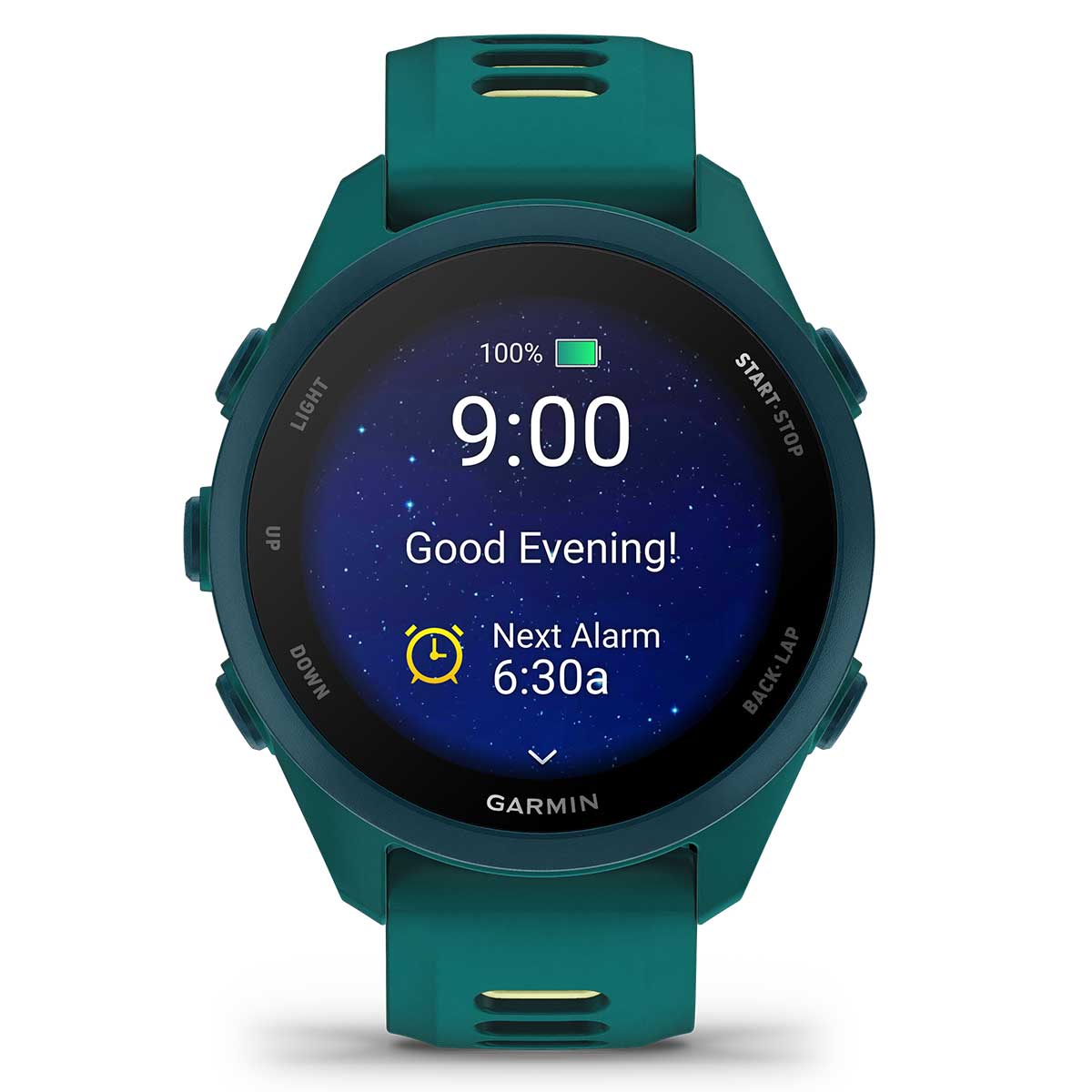 Garmin Forerunner 170/170 Music Running GPS Smartwatch